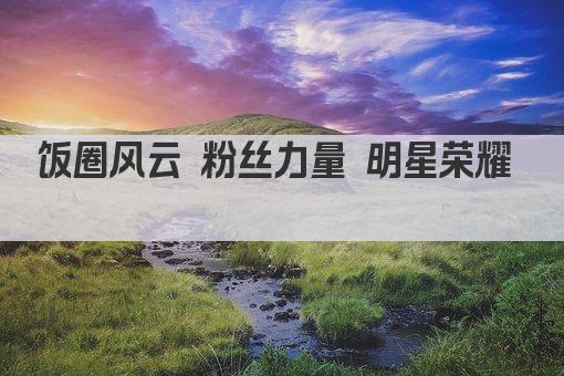 饭圈风云 粉丝力量 明星荣耀  