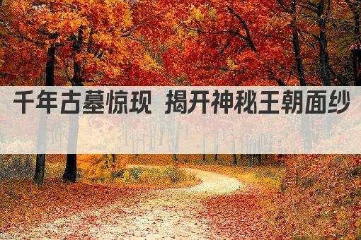 千年古墓惊现 揭开神秘王朝面纱 