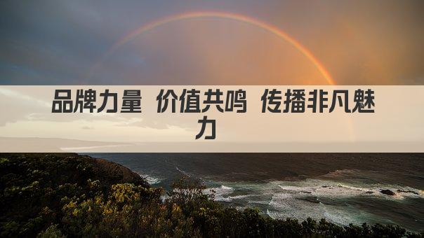 品牌力量 价值共鸣 传播非凡魅力 