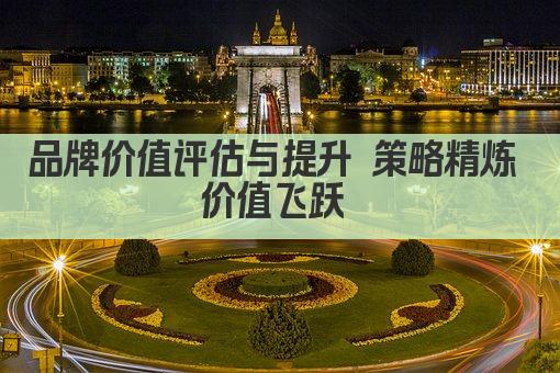 品牌价值评估与提升 策略精炼 价值飞跃 
