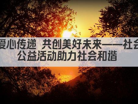 爱心传递 共创美好未来——社会公益活动助力社会和谐 