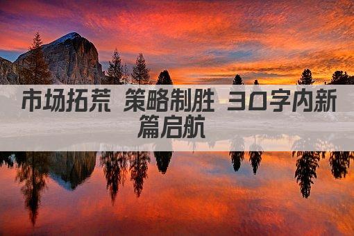 市场拓荒 策略制胜 30字内新篇启航 