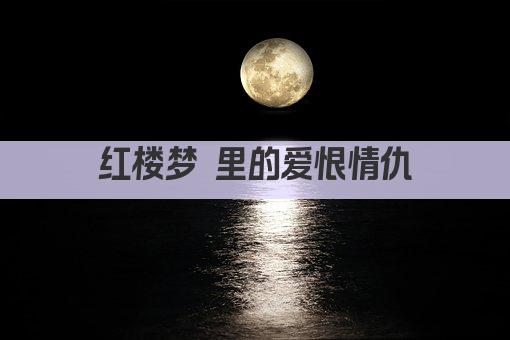 红楼梦 里的爱恨情仇