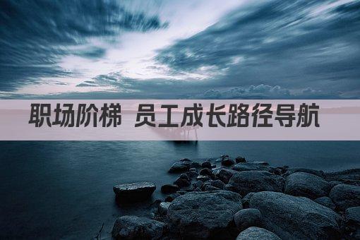 职场阶梯 员工成长路径导航 