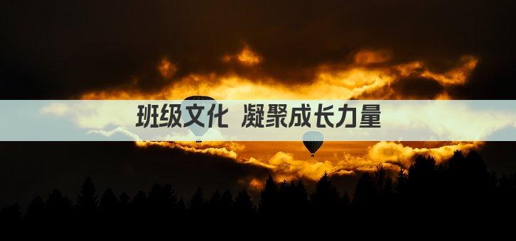 班级文化 凝聚力量 共筑青春梦