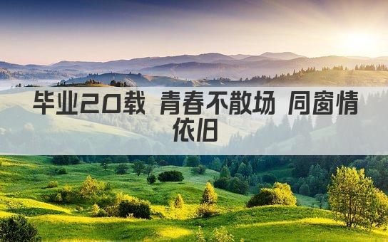 毕业20载 青春不散场 同窗情依旧