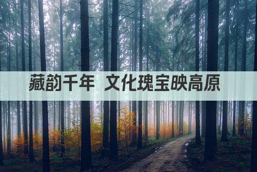 藏韵千年 文化瑰宝映高原 