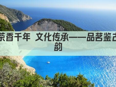 茶香千年 文化传承——品茗鉴古韵