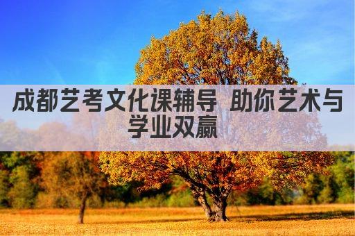 成都艺考文化课辅导 助你艺术与学业双赢 
