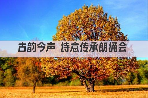 古韵今声 诗意传承朗诵会 