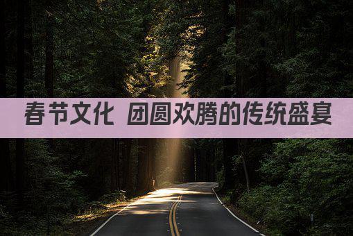 春节文化 团圆欢腾的传统盛宴