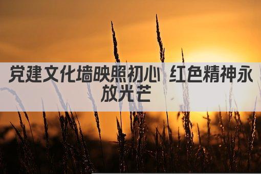 党建文化墙映照初心 红色精神永放光芒 