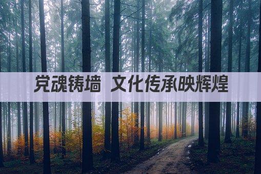 党魂铸墙 文化传承映辉煌