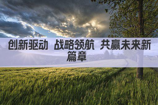 创新驱动 战略领航 共筑未来辉煌 
