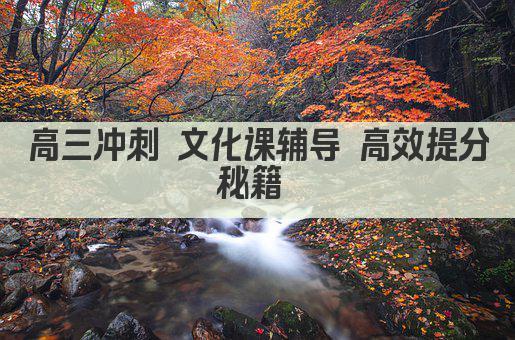 高三冲刺 文化课辅导 高效提分秘籍 