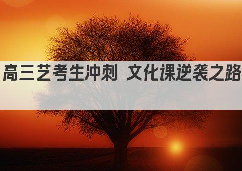 高三艺考生冲刺 文化课逆袭之路 