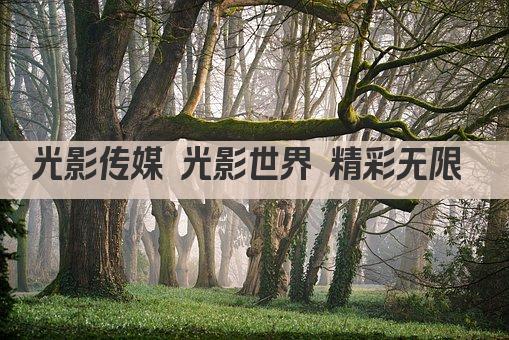 光影传媒 光影世界 精彩无限 