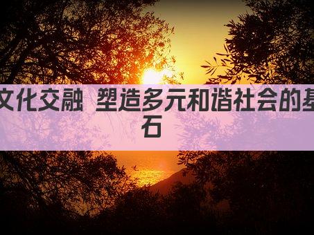 文化交融 塑造多元和谐社会的基石 