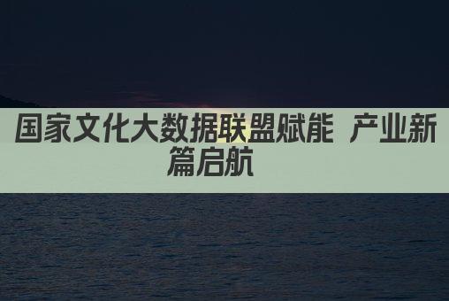 国家文化大数据联盟赋能 产业新篇启航  