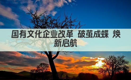 国有文化企业改革 破茧成蝶 焕新启航