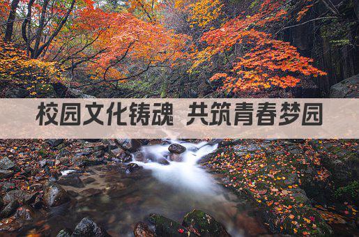 校园文化铸魂 共筑青春梦园