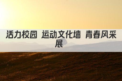 活力校园 运动文化墙 青春风采展 