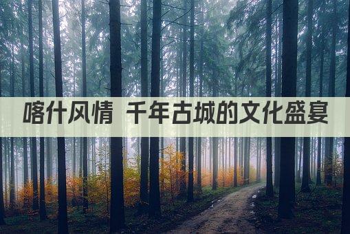 喀什风情 千年古城的文化盛宴