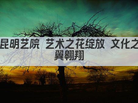 昆明艺院 艺术之花绽放 文化之翼翱翔