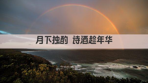 月下独酌 诗酒趁年华