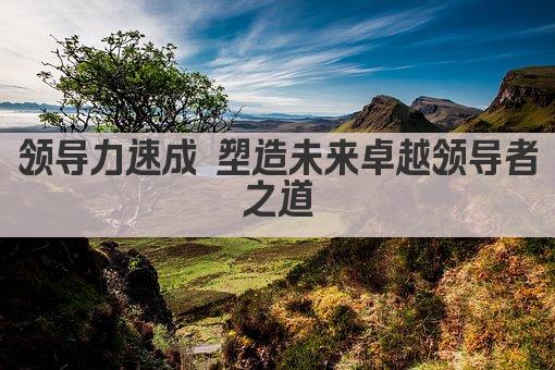 领导力速成 塑造未来卓越领导者之道