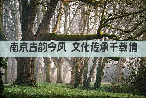 南京古韵今风 文化传承千载情