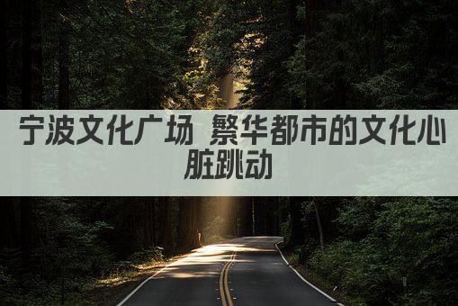 宁波文化广场 繁华都市的文化心脏跳动