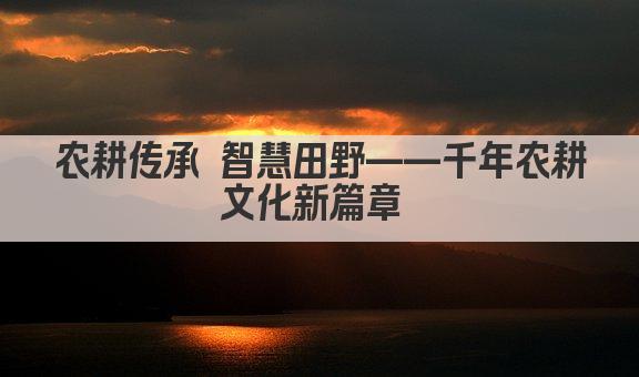 农耕传承 智慧田野间
