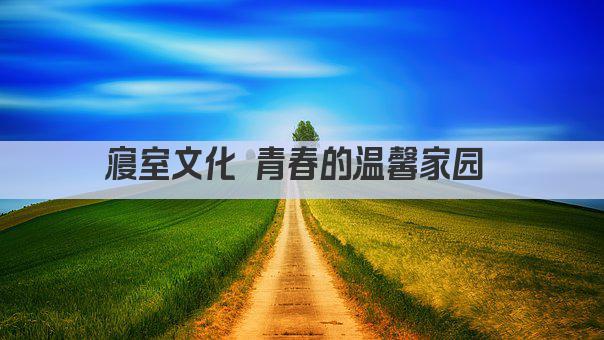 寝室文化 青春的温馨家园 
