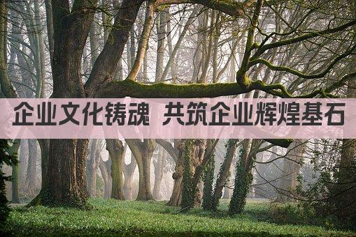 凝聚创新 共筑卓越——打造企业独特组织文化 