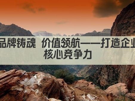 打造卓越品牌 引领行业未来 