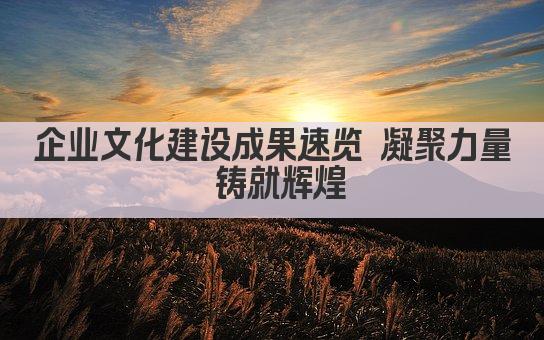 企业文化建设成果速览 凝聚力量 铸就辉煌