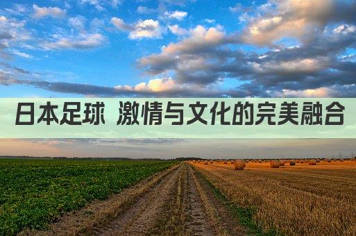 日本足球 激情与文化的完美融合