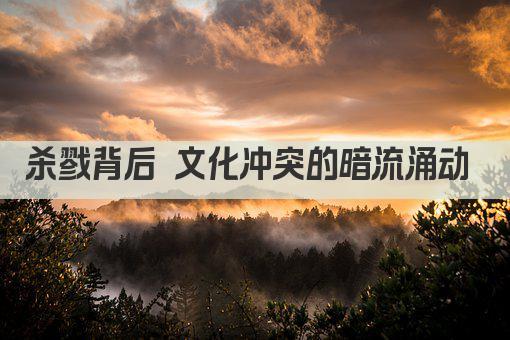 杀戮背后 文化冲突的暗流涌动 