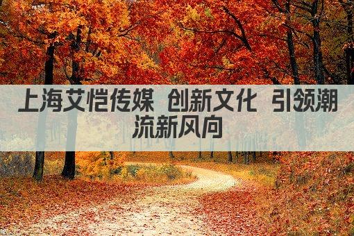 上海艾恺传媒 创新文化 引领潮流新风向