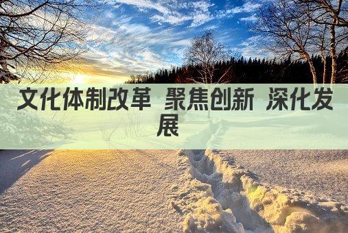 文化体制改革 聚焦创新 深化发展 