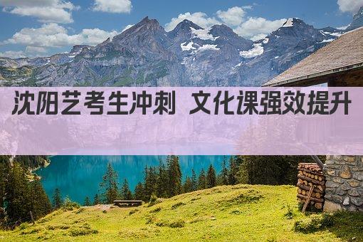沈阳艺考生冲刺 文化课强效提升 