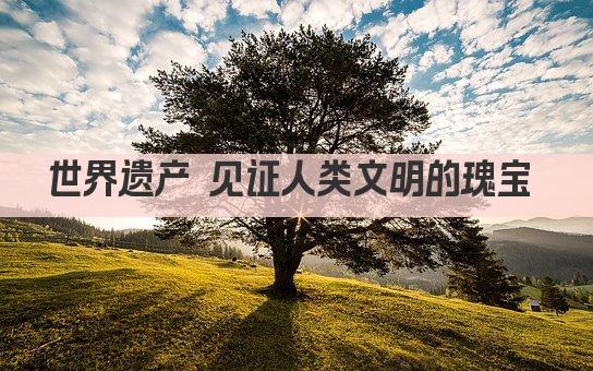 世界遗产 见证人类文明的瑰宝 