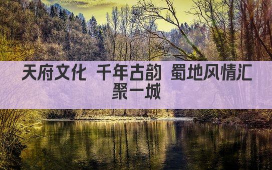 天府文化 千年古韵 蜀地风情汇聚一城