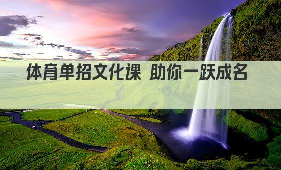 体育单招文化课 助你一跃成名  