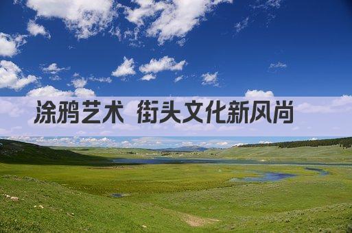 涂鸦艺术 街头文化新风尚  