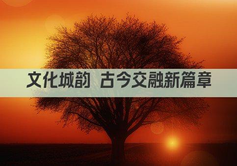 文化城韵 古今交融新篇章