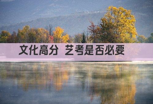 文化高分 艺考是否必要  