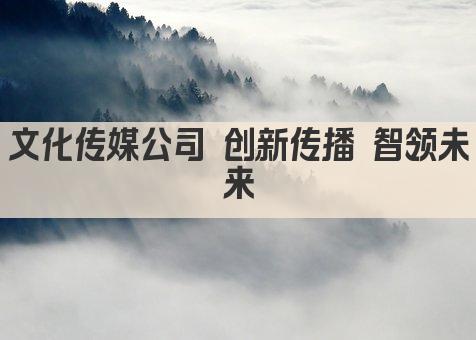 文化传媒公司 创新传播 智领未来
