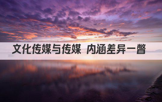 文化传媒与传媒 内涵差异一瞥 